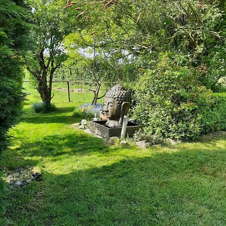 Un Petit Coin De Paradis 2 Clairfontaine Екстериор снимка